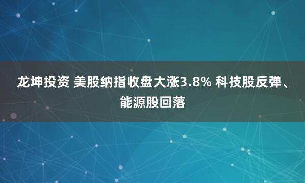龙坤投资 美股纳指收盘大涨3.8% 科技股反弹、能源股回落