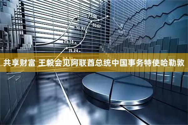 共享财富 王毅会见阿联酋总统中国事务特使哈勒敦